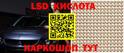 крисы Донецк