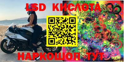 крисы Донецк