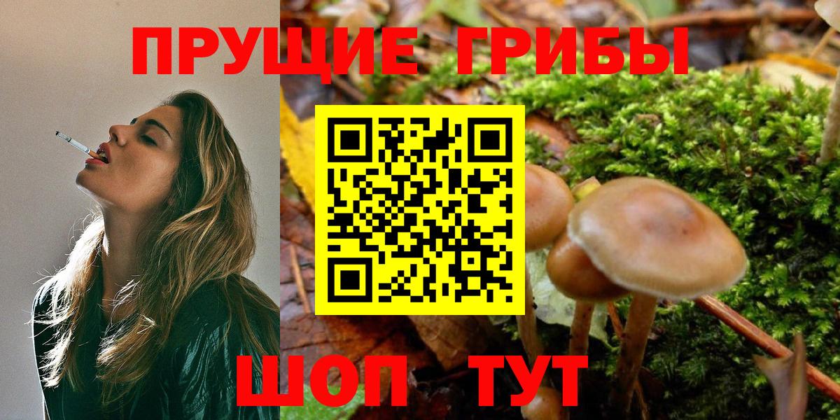 ГАШ Новозыбков