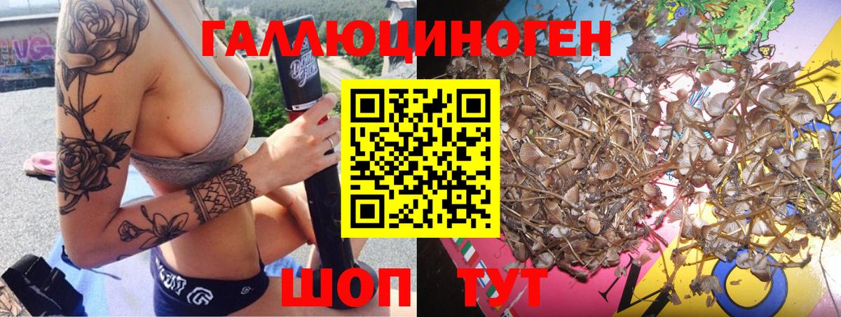 Новозыбков  Псилоцибиновые грибы ЛСД  Вход с VPN  Псилоцибиновые грибы мицелий 