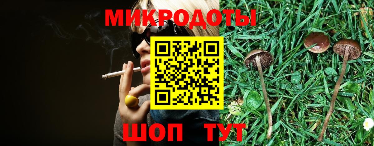 Галлюциногенные грибы MAGIC MUSHROOMS  Новозыбков 