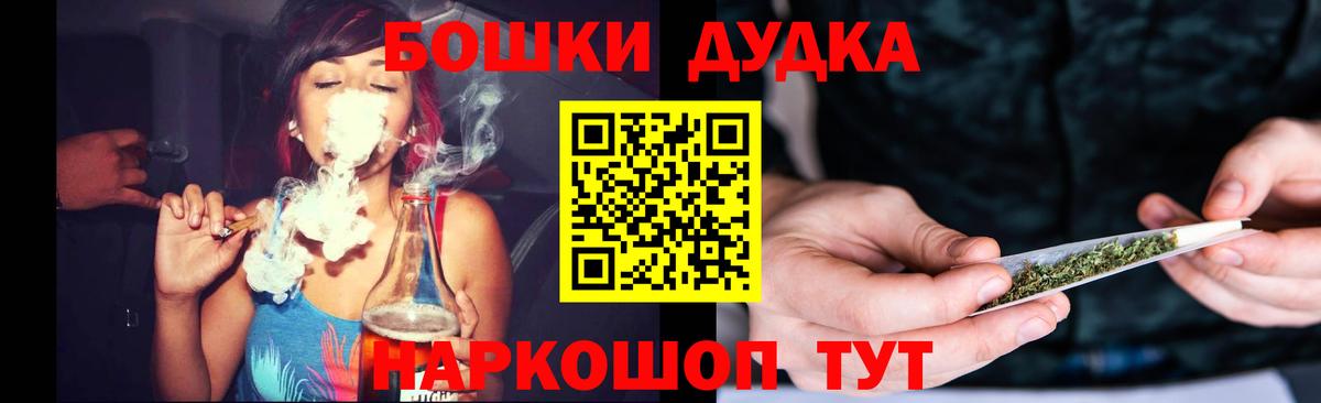 Конопля план  Конопля сатива  Новозыбков 